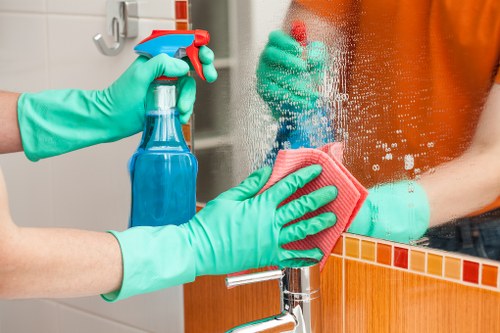 Professional carpet cleaner in W4 using steam extraction equipment