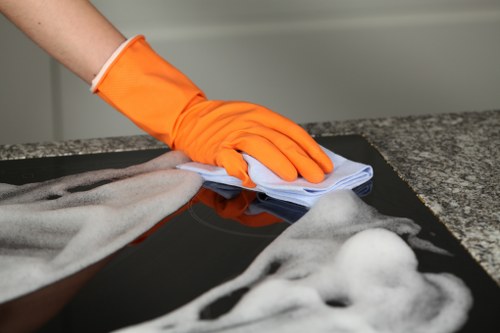 A tidy gutter cleaning service for homes and businesses in W4