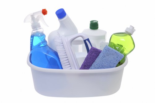 Accessible Cleaners W4 website with inclusive navigation
