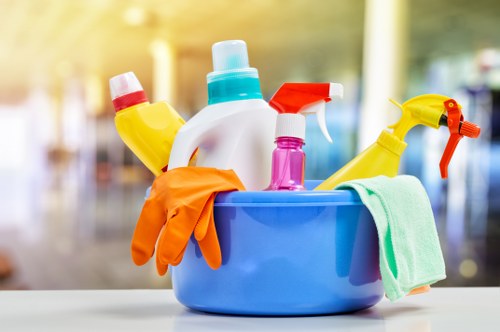 Professional home cleaners in W4 working in a modern living room