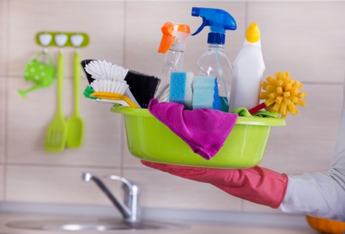 Professional steam carpet cleaning equipment used in a W4 home