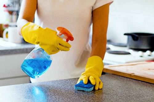 Cleaning team working carefully in a W4 property