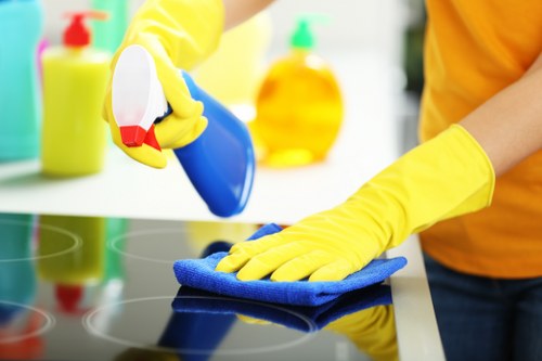 Professional cleaners W4 delivering a spotless finish in a workplace