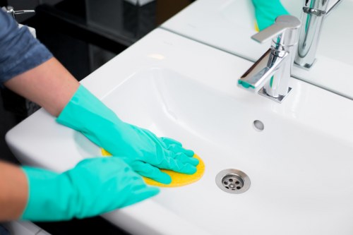 Supplier risk assessment for Cleaners W4