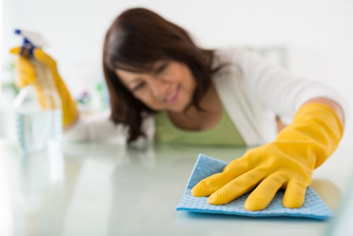Local carpet cleaning service in W4 using professional equipment