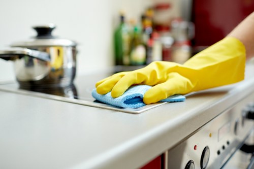 Inclusive Cleaners W4 web content with WCAG 2.1 AA focus