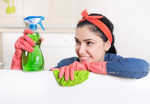 Invoice and payment details for cleaning services