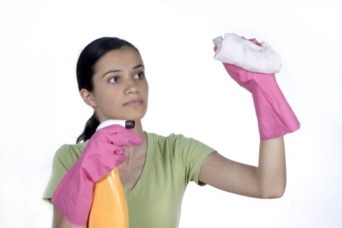 Screen-reader friendly local cleaning information for W4
