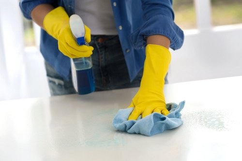 Stain removal and carpet care by a carpets cleaner in W4