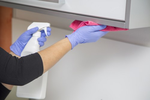 Modern professional cleaning support for W4 properties