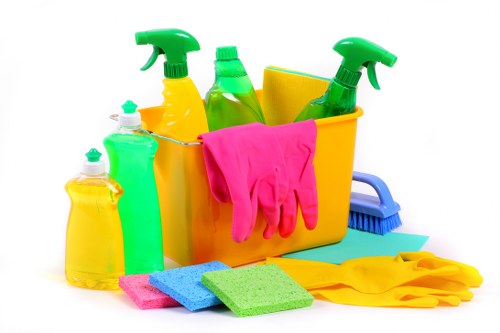 Residential carpet cleaning in W4 treating stains and odours